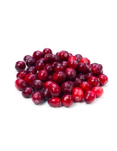 Mirtillo Rosso Cranberry