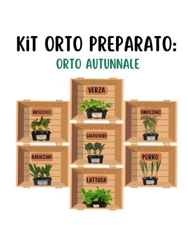 Orto Autunnale_ Kit Orto Pronto