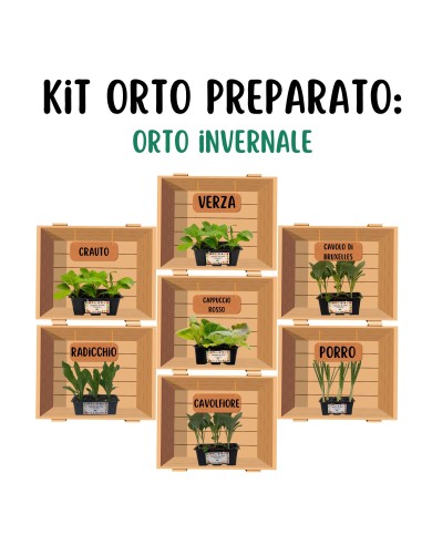 Orto Invernale_ Kit Orto Pronto