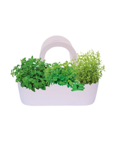 Aromi Bag già composta colore Bianco  (Menta piperita Menta glaciale Menta spicata  )