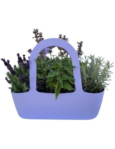 Aromi Bag già composta Salvia -Lavanda Stoaches-Santolina 